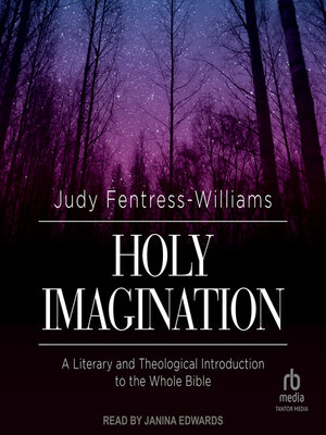 cover image of Holy Imagination